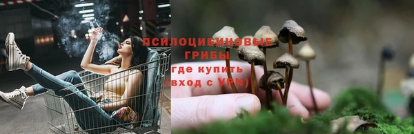 ГАЛЛЮЦИНОГЕННЫЕ ГРИБЫ Баксан