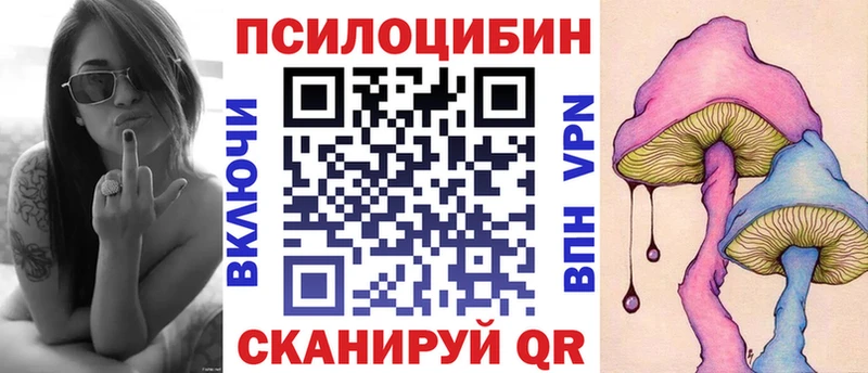 Псилоцибиновые грибы Psilocybe Ессентуки