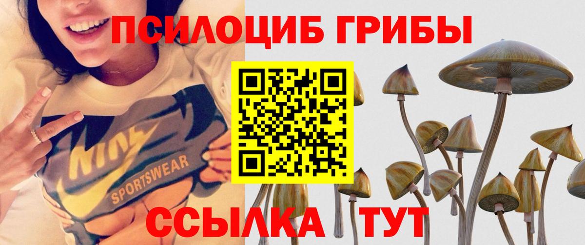 Ессентуки  как найти наркотики  Вход с VPN  Псилоцибиновые грибы GOLDEN TEACHER 