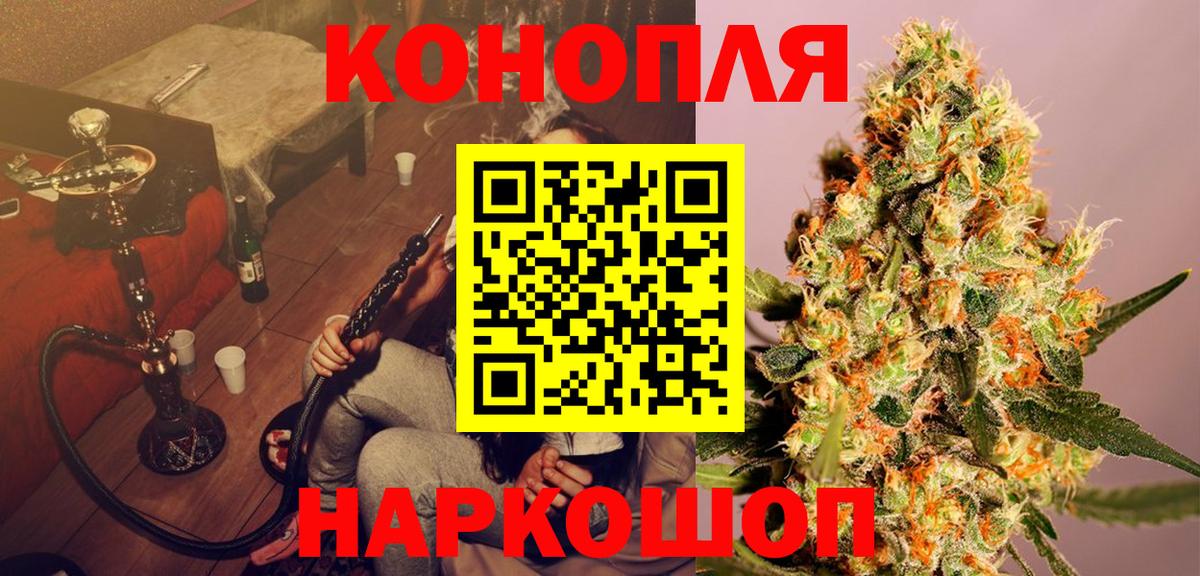 Шишки марихуана MAZAR Ессентуки